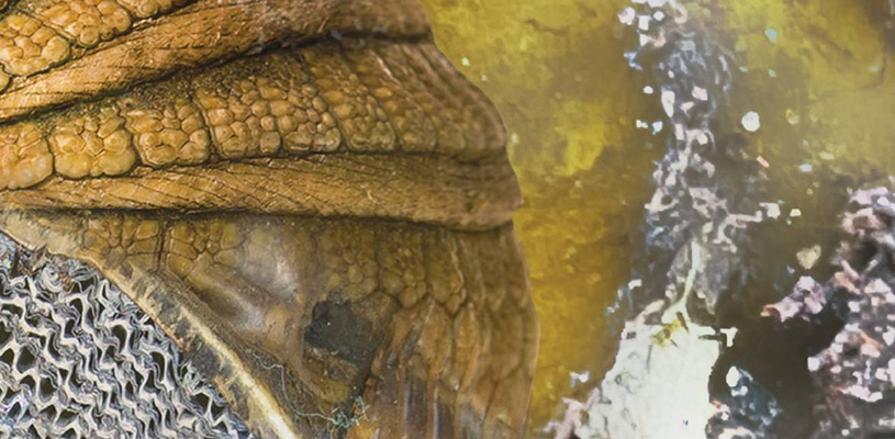 You got to get in to get out