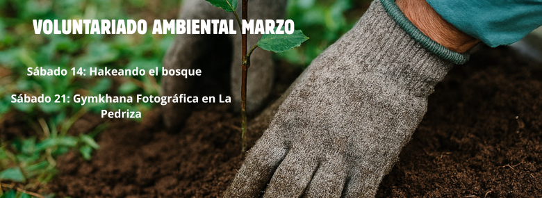 Voluntariado ambiental marzo