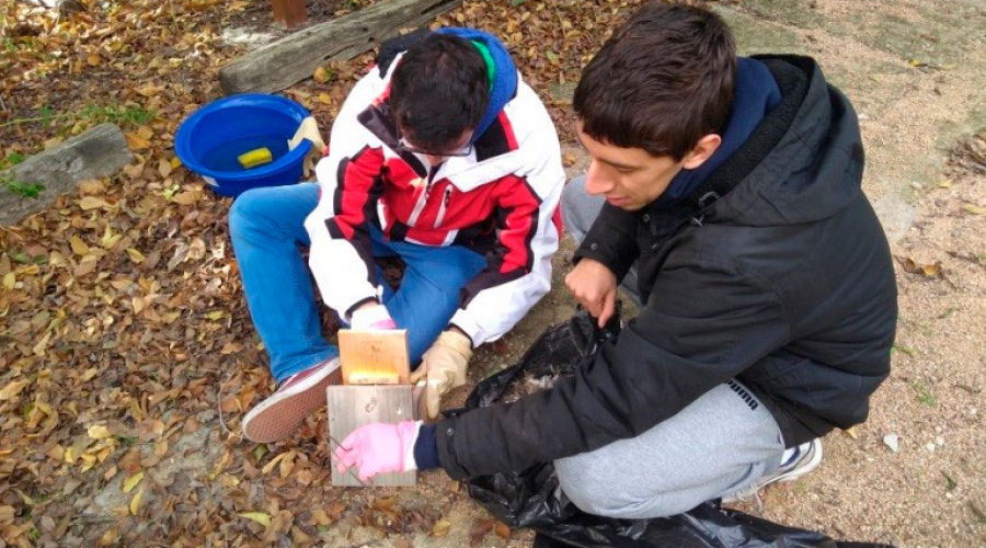 Voluntariado ambiental